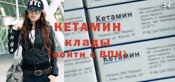стафф Кодинск